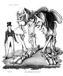 Skelet van een Megatherium, een uitgestorven reuzenluiaard, 1823