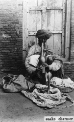 Slangenbezweerder, India, 20e eeuw