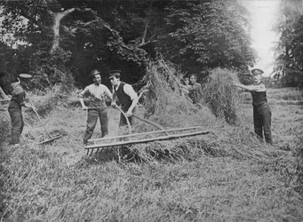 Soldaten helpen de boeren met het binnenhalen van het hooi