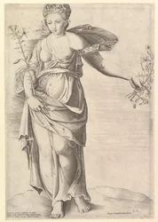 Speculum Romanae Magnificentiae: Flora, midden 16e eeuw