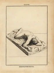 Standbeeld van Hermaphroditus, Griekse god van verbintenissen, androgynie, huwelijk, seksualiteit, liggend op een bed