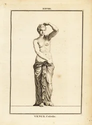 Beeld van Venus Celeste, Romeinse godin van liefde, schoonheid, seks en vruchtbaarheid