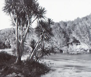 Te Waihou Rivier, Okoroire