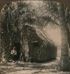 Strohuisje in Cocoanut Grove, Florida, VS, ca. 1900