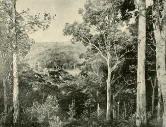 De Blauwe Bergen, 1901