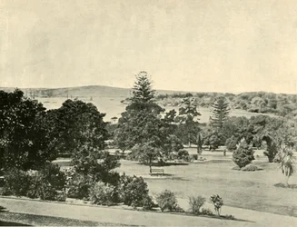 De Botanische Tuinen van Sydney, 1901