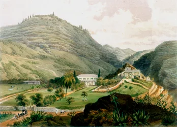 The Briars, St. Helena, begin 19e eeuw, 1851