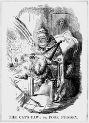 De kattenpoot: of arme poes