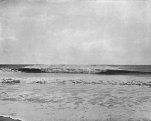 De kamgolf, kust van New Jersey, VS, ca. 1900