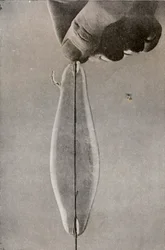 De eerste gloeilamp, ca. 1916