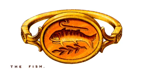 De Vis, 1923