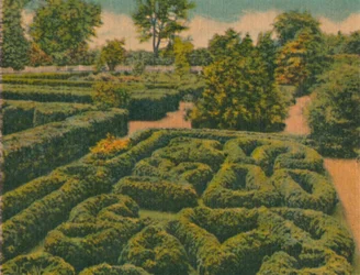 De Bloementuin, algemeen overzicht, 1946