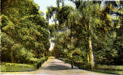 De Bloemenwandeling, Kensington Gardens, Londen