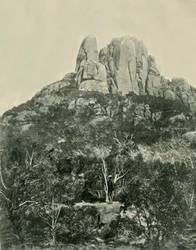 De Bult, Buffalo Mountains, 1901
