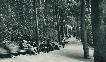De wandeling van de invaliden, ca. 1910