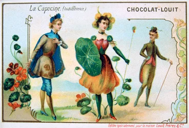 De taal van bloemen, Oost-Indische kers, Onverschilligheid, ca. 1900