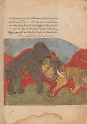 De Leeuw en de Olifant Vechten, Folio uit een Kalila wa Dimna, 18e eeuw
