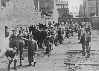 Het Nieuwe Leger in training op de Hoefsmederijschool, 1915