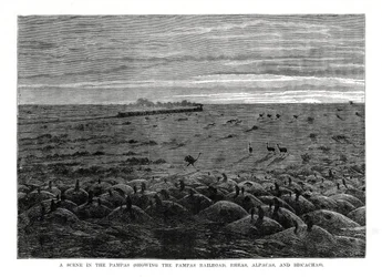De Pampas-spoorweg, Zuid-Amerikaanse laaglanden