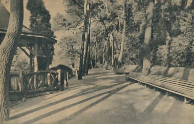 De dennenwandeling, 1929