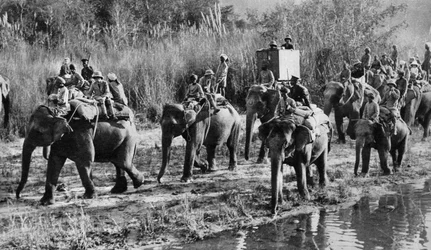 De Prins van Wales op tijgerjacht in India, 1921