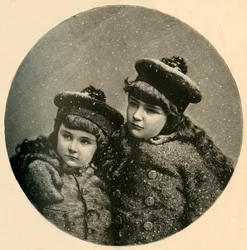De Kerstboom van de Sneeuwvogels, 1883