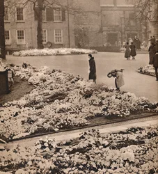 De staatsbegrafenis van koning George V in Windsor: herdenkingskransen