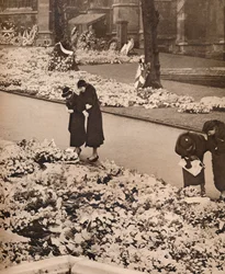 De staatsbegrafenis van Koning George V in Windsor: herdenkingskransen, 1936
