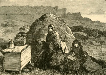 De staat van Ierland: Een uitgezette familie nabij Errismore, ca. 1880