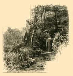 De Tropische Tuinen, Battersea Park, c1878