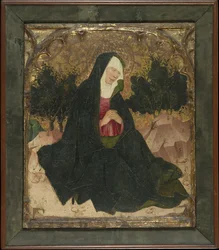 De Maagd