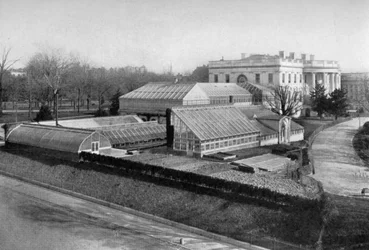 Het Witte Huis en kassen, Washington DC, VS, 1908