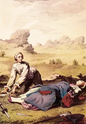 De woestijn van Louisiana. Illustratie