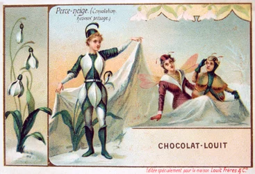 De taal van bloemen, sneeuwklokje