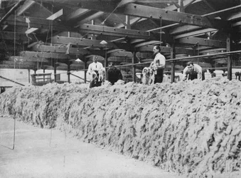 Het maken van kaki - Wol mengen