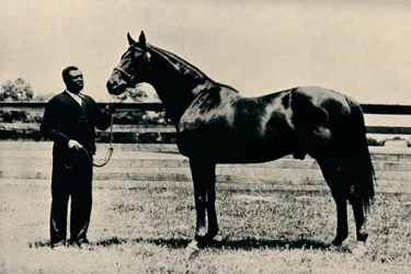 Volbloed renpaard, Man O War, ca. 1920