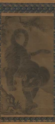 Tijger