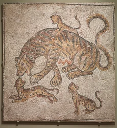 Tijgerin en Welpen, 300s