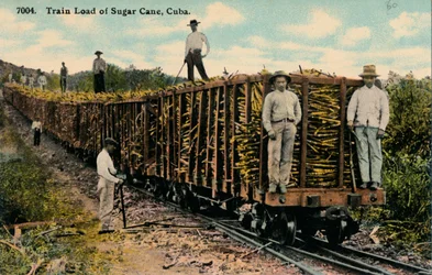 Treinlading suikerriet verlaat het veld, Cuba, 1915