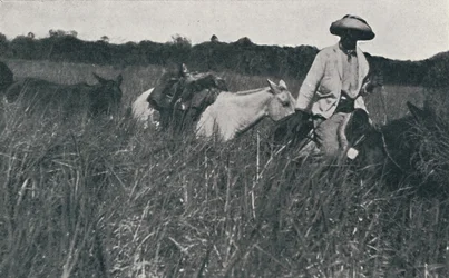 Reizen op de Pampas, 1916