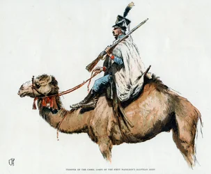 Soldaat van het kameelkorps van het Eerste Napoleonische Egyptische Leger, 1790s 20e eeuw
