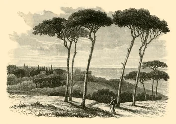 Tusculum, 1890