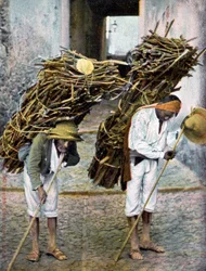 Twee mannen die houtbundels op hun rug dragen, Mexico