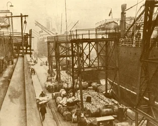 Voedsel lossen bij de Royal Albert Docks, Londen, c1930
