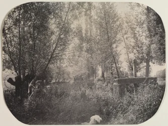 Naamloos landschap met hond, c. 1910