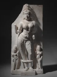 Vidyadevi godin van de kennis