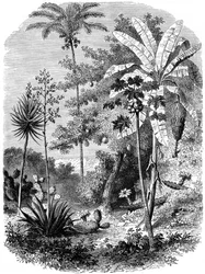 Uitzicht op de Spaanse Main, Guatemala