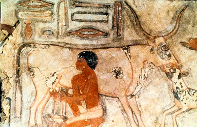 Muurschildering uit het graf van Methethi, Saqqara, Oud Egypte, Oude Rijk