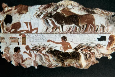 Muurschildering uit het graf van Nebarunun, Thebe, Egypte, ca. 1350 v.Chr.