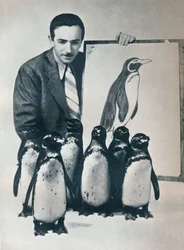 Walt Disney met pinguïns